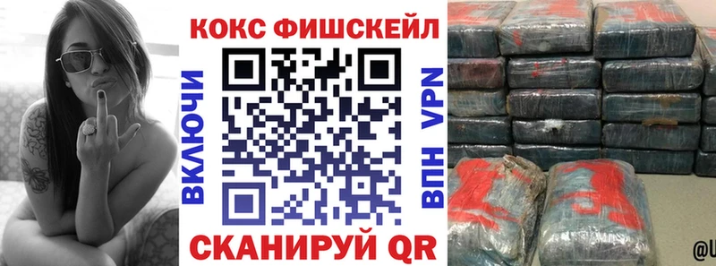 Cocaine Fish Scale  магазин    Шарья 