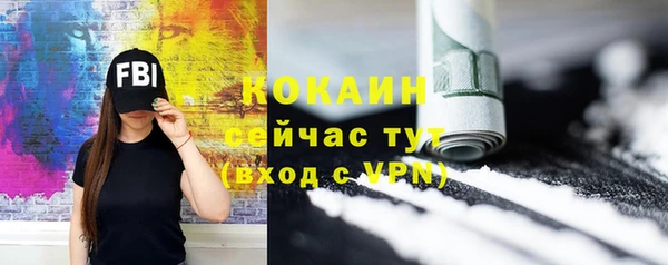 бошки Белокуриха