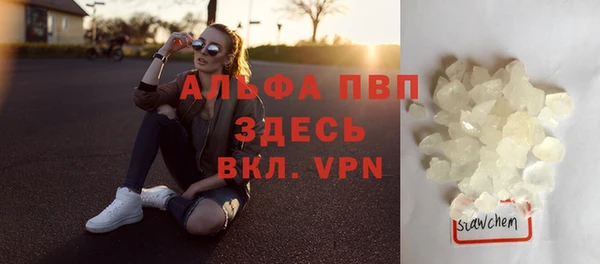 бошки Белокуриха
