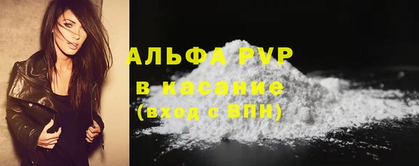 бошки Белокуриха