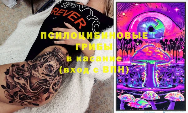 бошки Белокуриха
