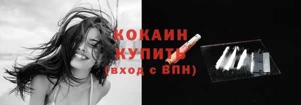 бошки Белокуриха
