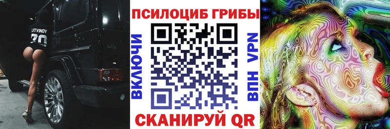 дарнет шоп  Шарья  OMG ссылка  Галлюциногенные грибы мицелий 